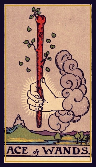 Ace of Wands — today’s tarot card